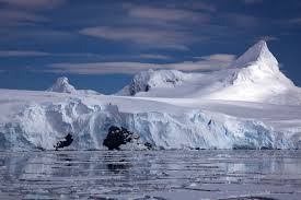 antarctic