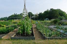 allotment