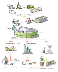 anaerobic