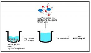 assay