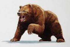 bearish