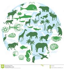 biodiversity