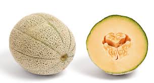 cantaloupe