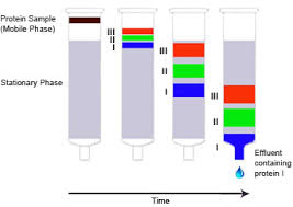 chromatography