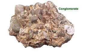 conglomerate