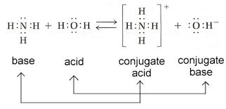 conjugate