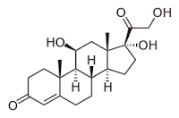 cortisol