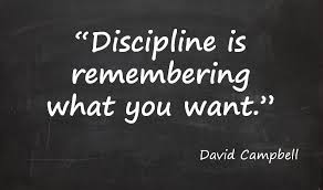 discipline