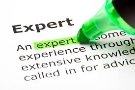 expert