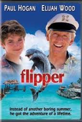 flipper