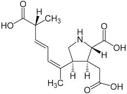 formulae