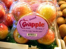 grapple