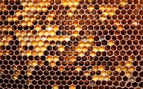 honeycomb