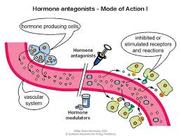 hormone