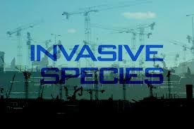 invasive