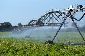 irrigation