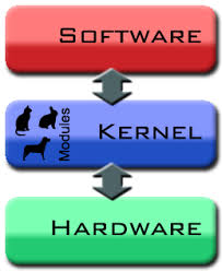 kernel