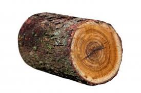 log