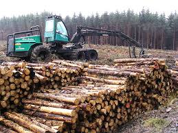 logging