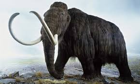 mammoth