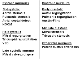 murmur