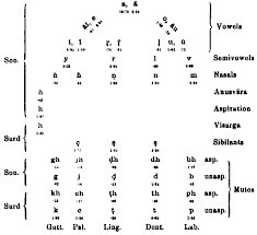 phonology