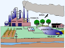 pollutant