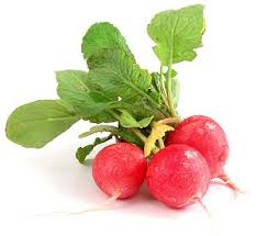 radish