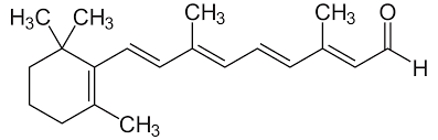 retinal