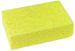 sponge