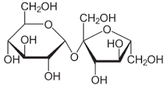 sucrose