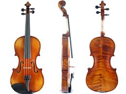 violin