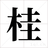 桂