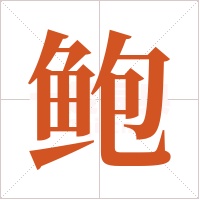 鲍