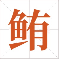 鲔