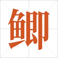 鲫